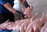 قیمت به ۱۰هزارو ۳۰۰ تومان رسید ، زیاد کردن ۳۰۰ تومانی قیمت مرغ